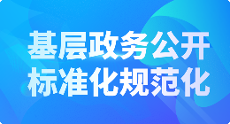 基层政务公开事项标准目录专题