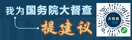 我为大督查提建议