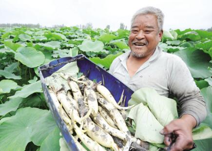 起凤镇辛泉村人口_怀集汶朗镇乐洞村人口