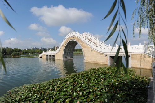 桓台县人民政府 旅游景点 秋高气爽红莲湖