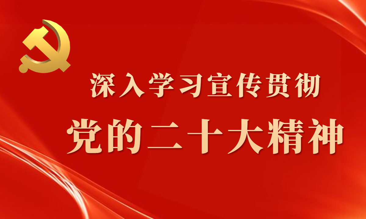 深入学习宣传贯彻党的二十大精神