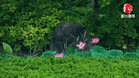 2e54fb8039414ce4bbddcc6615b95b2f.gif