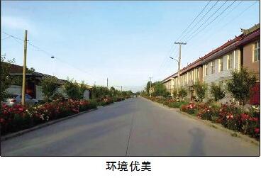 起凤镇鱼三村人口_人口普查
