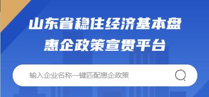 山东省稳住经济基本盘惠企政策平台