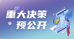 重大决策